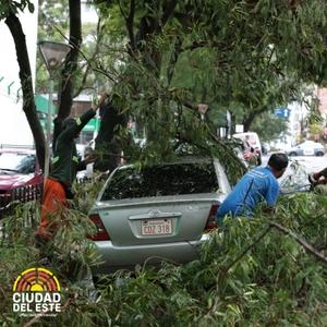 Municipalidad de CDE activó servicios para atender daños por temporal