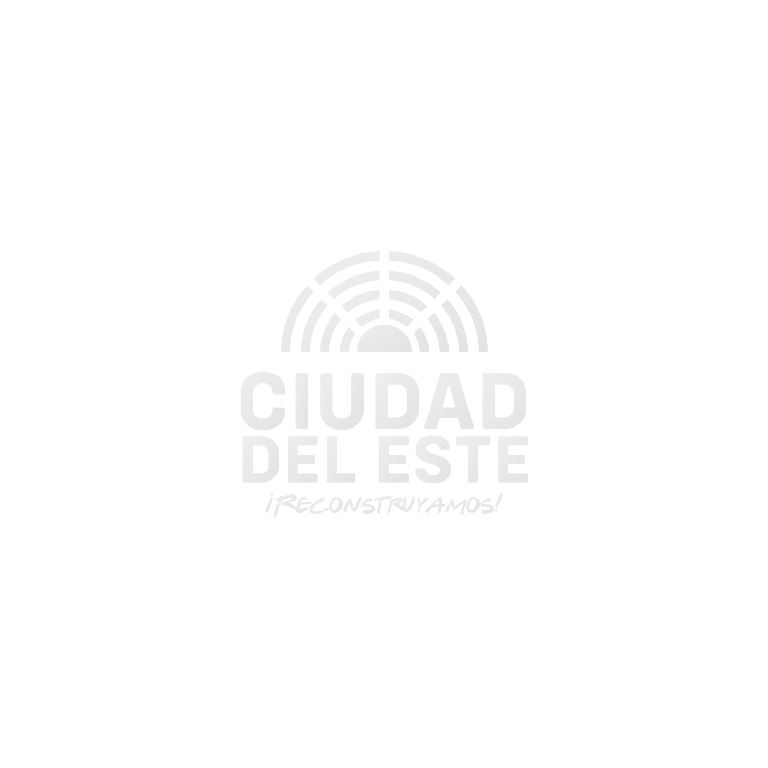 recaudaciones-2024-municipalidad-de-ciudad-del-este